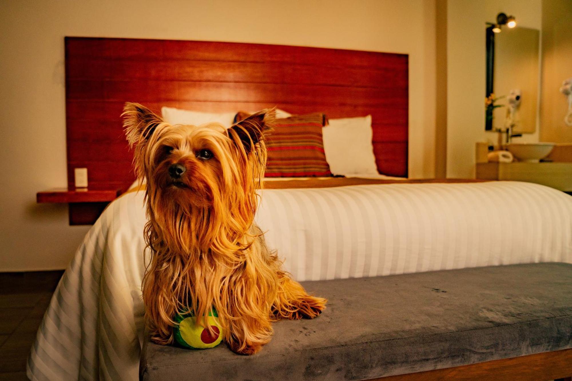 Na Hotel San Cristóbal de Las Casas 외부 사진